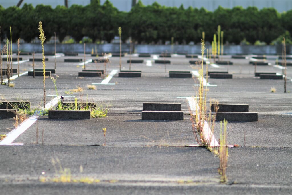 駐車場の雑草に塩の効果とリスク